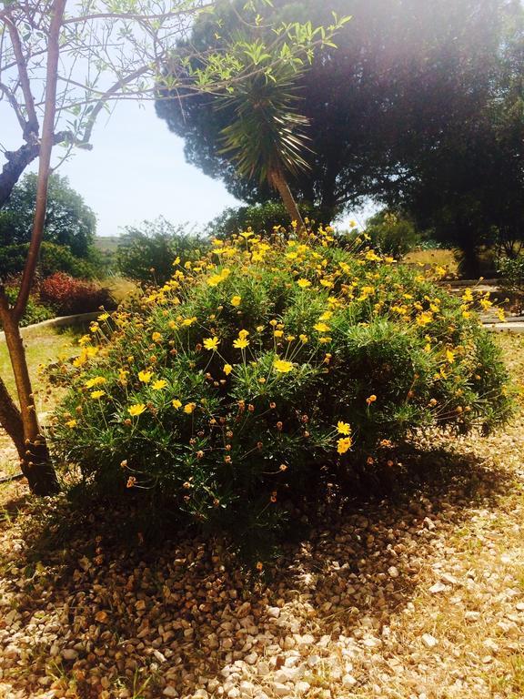 Quinta Do Atlantico Ξενοδοχείο Santa Bárbara de Nexe Εξωτερικό φωτογραφία